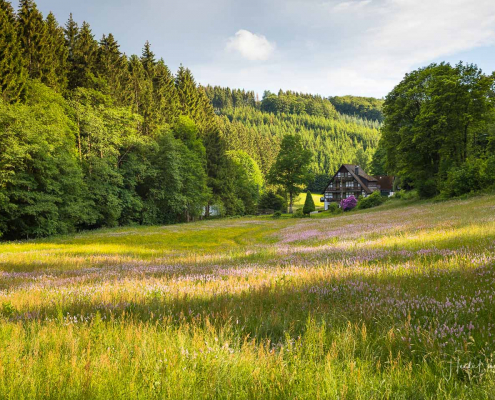 Haus Vollmers, Ohlenbach