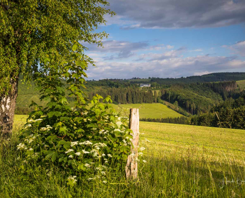 Blick zum Hohen Knochen mit Berghotel und Elisabeth-Kapelle