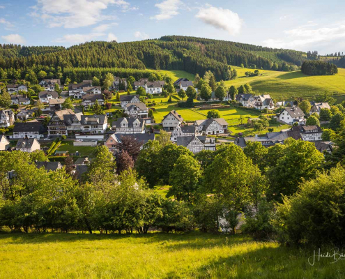 Blick von der Birkenallee auf Westfeld