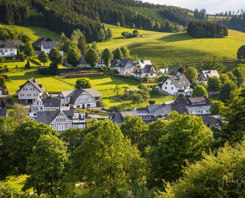 Blick von der Birkenallee auf Westfeld