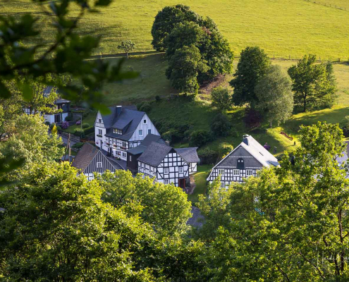 Blick von der Birkenallee auf Westfeld