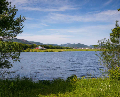 Perfstausee