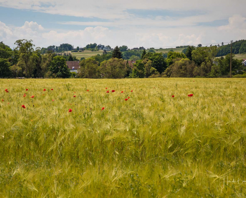 Rotary-Hinterland-Tour 014