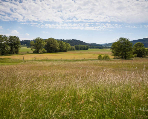 Rotary-Hinterland-Tour 019