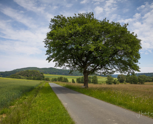 Rotary-Hinterland-Tour 021