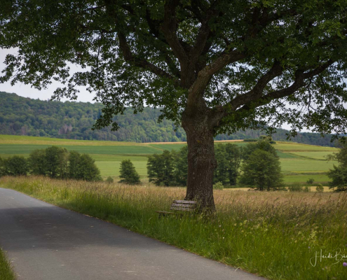 Rotary-Hinterland-Tour 022