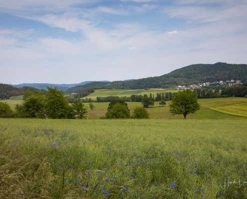 Rotary-Hinterland-Tour 024