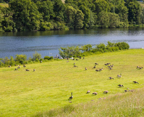 Perfstausee Perfstausee