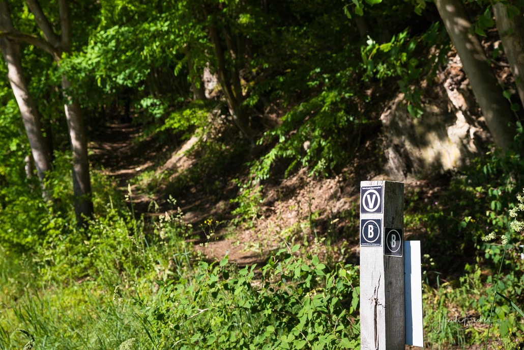 Einstieg in den Sonnenpfad am Ende des Parkplatzes Einstieg in den Sonnenpfad am Ende des Parkplatzes