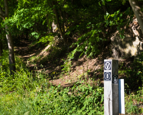 Einstieg in den Sonnenpfad am Ende des Parkplatzes Einstieg in den Sonnenpfad am Ende des Parkplatzes