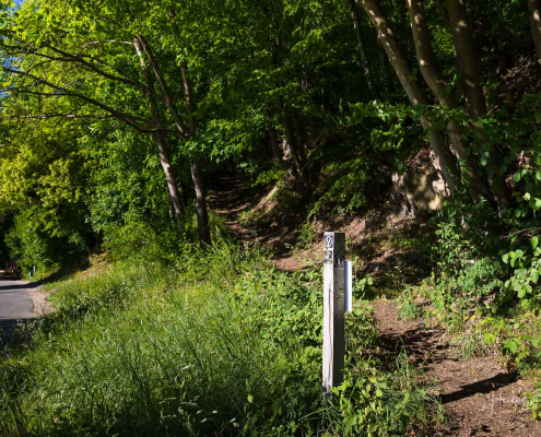Einstieg in den Sonnenpfad am Ende des Parkplatzes Einstieg in den Sonnenpfad am Ende des Parkplatzes