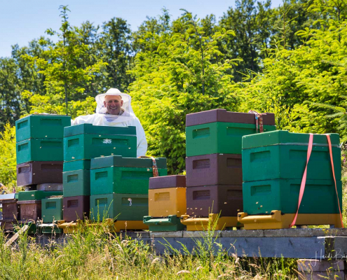 Bienenstöcke der Imkerei Kebben Bienenstöcke der Imkerei Kebben