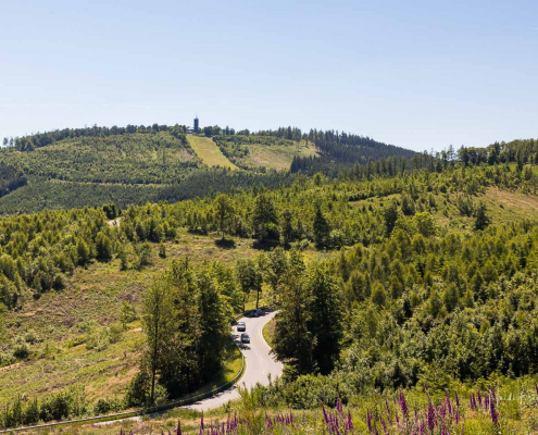 Blick zum Aussichtsturm Hohe Bracht Blick zum Aussichtsturm Hohe Bracht