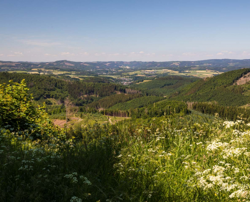 Aussicht Hohe Bracht Aussicht Hohe Bracht