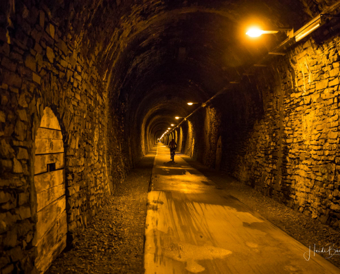 Fledermaustunnel Fledermaustunnel