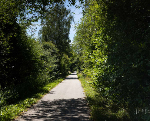 Sauerland Radring bei Serkenrode Sauerland Radring bei Serkenrode