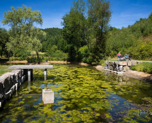 Ruhrmanns-Teich in Fretter Ruhrmanns-Teich in Fretter