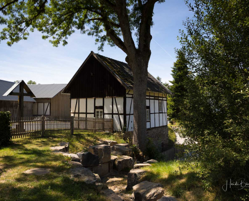 Am Ruhrmanns-Teich in Fretter Am Ruhrmanns-Teich in Fretter