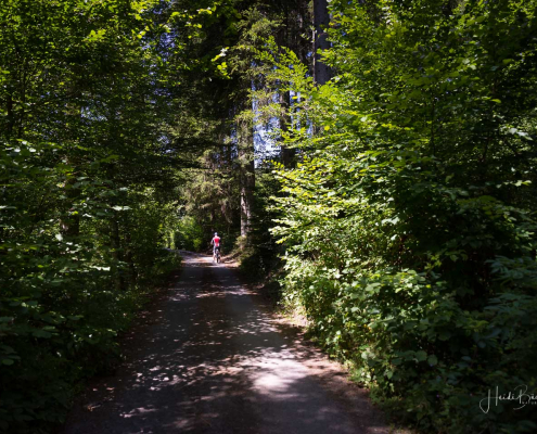 Waldweg zwischen Delf und Weuspert Waldweg zwischen Delf und Weuspert