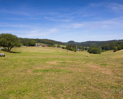 Ansiedlung Faulebutter Ansiedlung Faulebutter