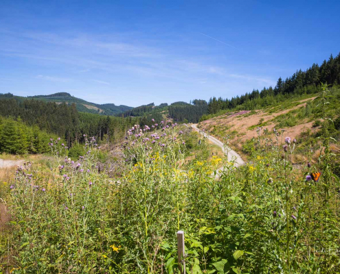 Aussicht vom Sauerland-Höhenflug Aussicht vom Sauerland-Höhenflug