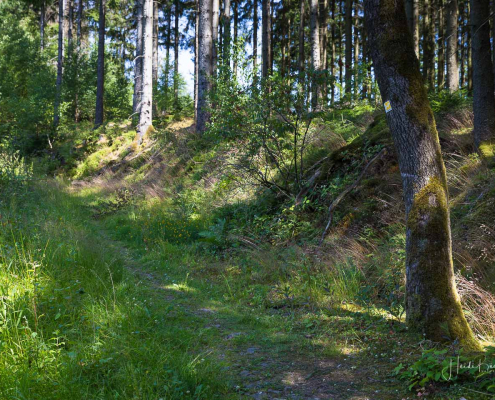 Sauerland-Höhenflug Sauerland-Höhenflug