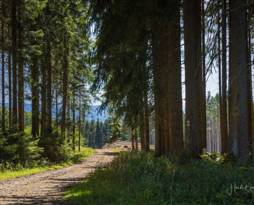 Sauerland-Höhenflug Sauerland-Höhenflug