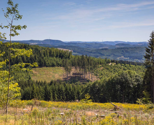 Aussicht vom Sauerland-Höhenflug Aussicht vom Sauerland-Höhenflug