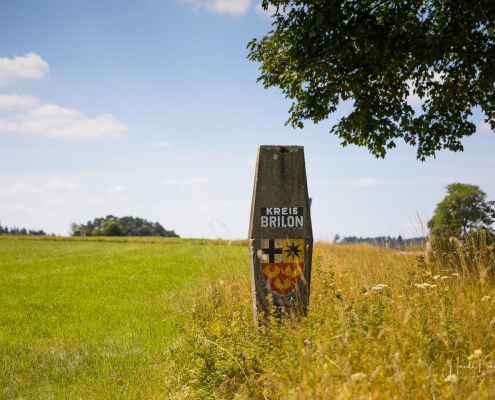 Grenzstein Altkreis Brilon