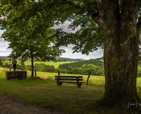 Kleines Bildchen oberhalb von Nordenau Kleines Bildchen oberhalb von Nordenau