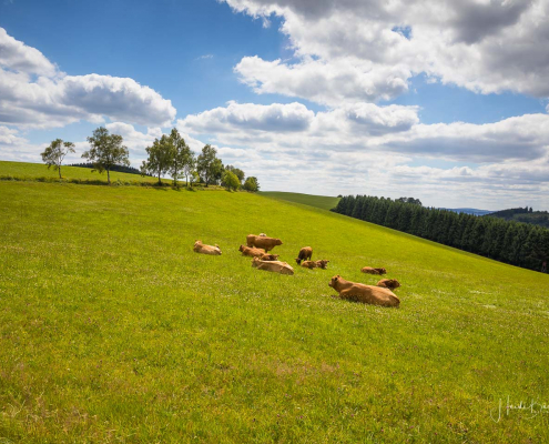 Am Heerhagen in Nordenau Am Heerhagen in Nordenau