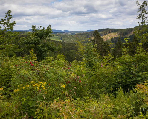 Aussicht von der Kornberg-Quelle Aussicht von der Kornberg-Quelle