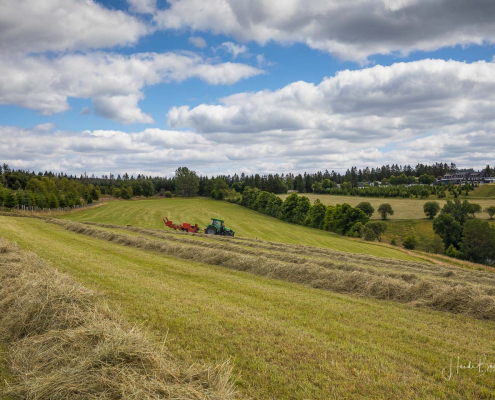 Heuernte in Altastenberg Heuernte in Altastenberg