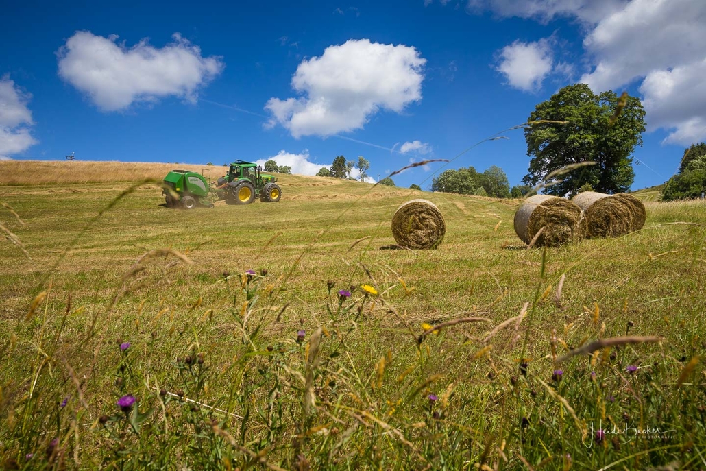 Heuernte in Altastenberg Heuernte in Altastenberg