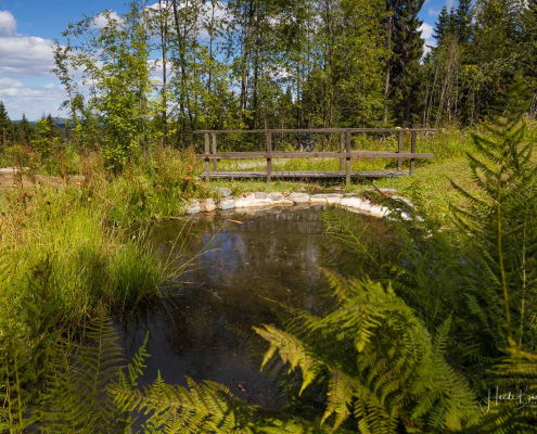 Kornberg-Quelle in Altastenberg Kornberg-Quelle in Altastenberg