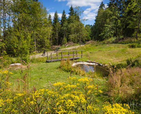 Kornberg-Quelle in Altastenberg Kornberg-Quelle in Altastenberg