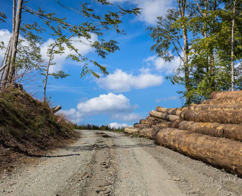 Weg von Züschen zum Helleplatz Weg von Züschen zum Helleplatz