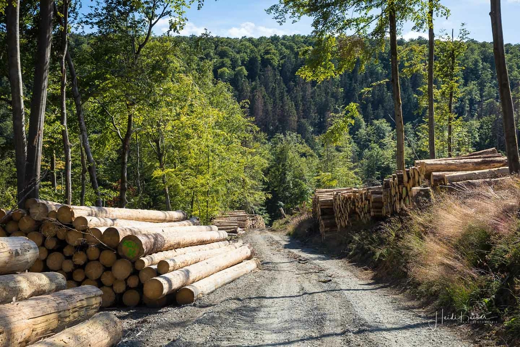 Weg zum Helleplatz Weg zum Helleplatz
