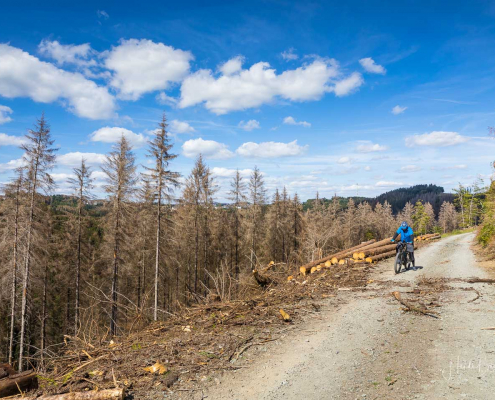 Weg von Züschen zum Helleplatz Weg von Züschen zum Helleplatz