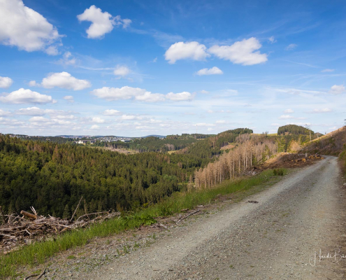 Weg von Züschen zum Helleplatz Weg von Züschen zum Helleplatz