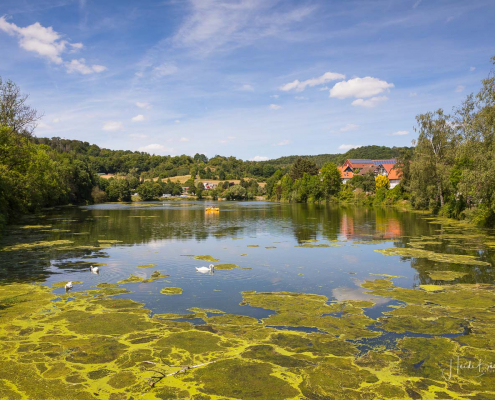 Werbebach Vorbecken in Nieder-Werbe