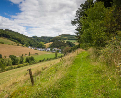Wiesenweg bei Sögtrop
