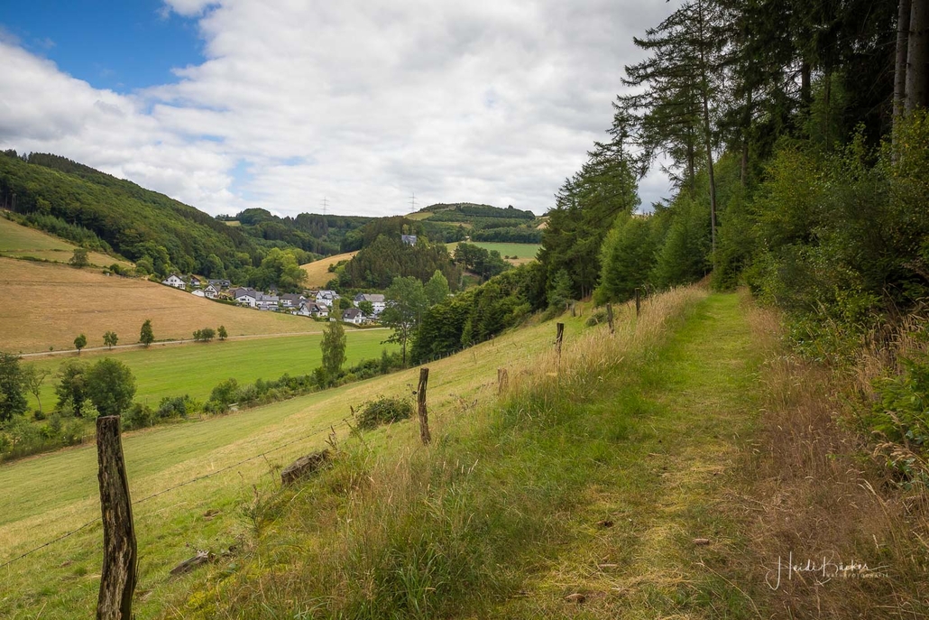 Wiesenweg oberhalb von Sögtrop