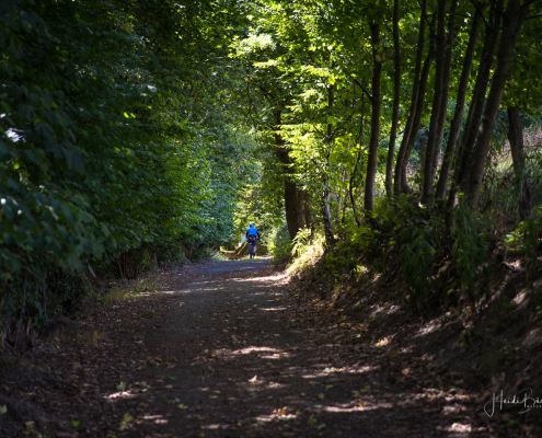 Waldweg nach Erflinghausen