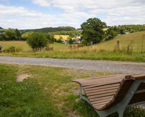 Waldsofa und Getränkekeller oberhalb von Büemke