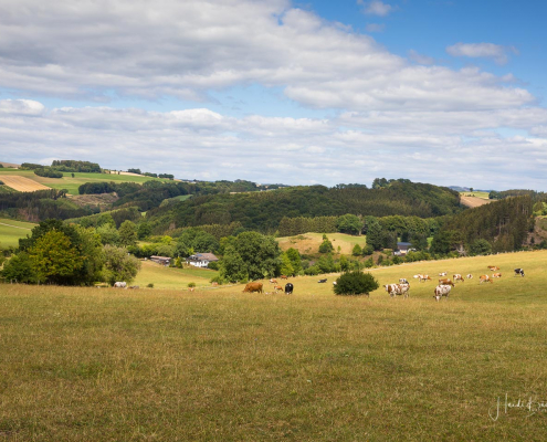 Ländliche Idylle bei Büemke