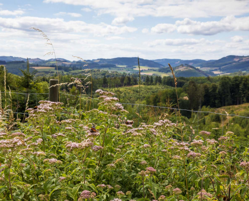 Tolle Aussicht vom Kapellenweg