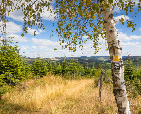 Alter Kirch- und Schulweg von Büemke nach Reiste