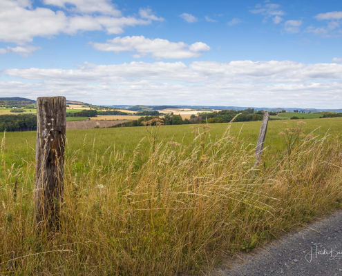 Aussicht auf Büenfeld