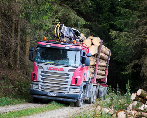 Abtransport des Fichtenholzes Abtransport des Fichtenholzes